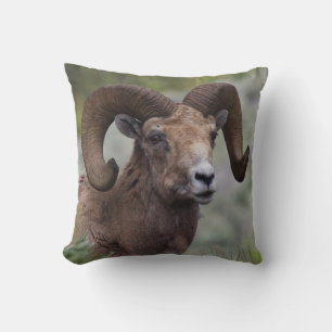 Almofada Carneiro de Ovelha Bighorn das Montanhas Rochosas