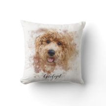 Carroçaria Personalizada do Ouro/Cavapoo