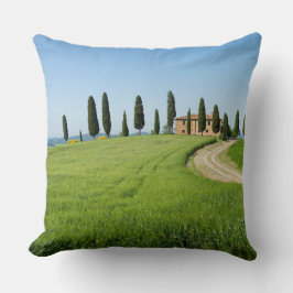 Almofada Casa de campo da fazenda com as árvores de