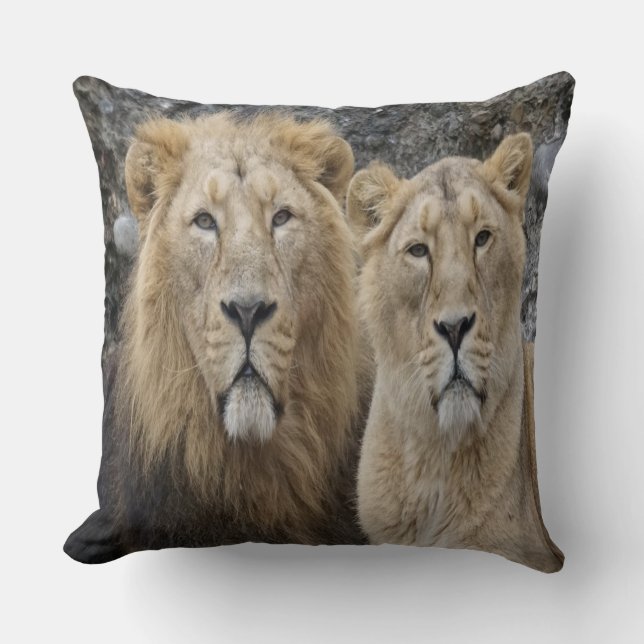 Almofada Casal de Leão Majestoso (Frente)
