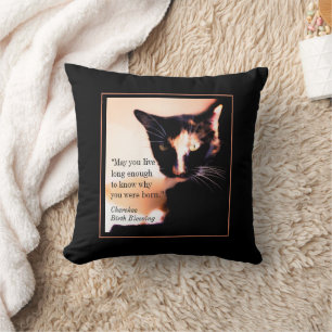 Almofada Cat Messenger