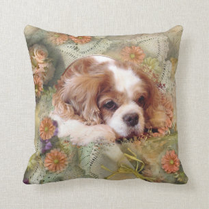 Almofada Cavaleiro Rei Charles Spaniel