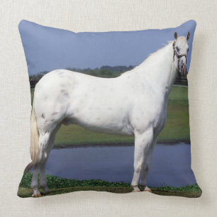 Almofada Cavalo do Appaloosa