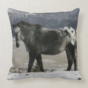 Almofada Cavalo do Appaloosa na neve