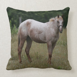 Almofada Cavalo do Appaloosa que está na grama