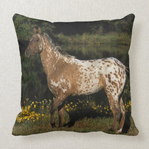 Almofada Cavalo do Appaloosa que está pelo lago