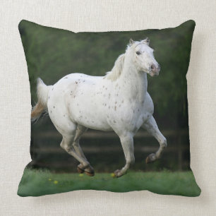Almofada Cavalo do Appaloosa que funciona 1