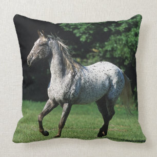 Almofada Cavalo do Appaloosa que funciona 2
