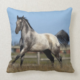 Almofada Cavalo do Appaloosa que funciona 3