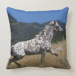 Almofada Cavalo do Appaloosa que funciona acima a montanha