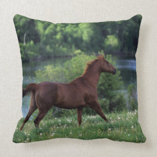 Almofada Cavalo do puro-sangue que está nas flores