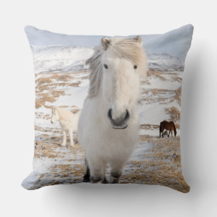 Almofada Cavalo Islandês Branco, Islândia