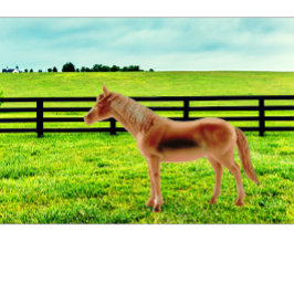 Almofada Cavalo na Pastura