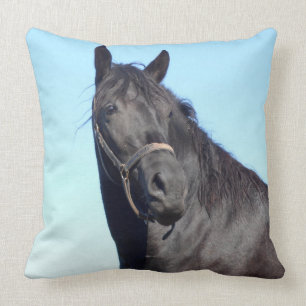 Almofada Cavalo preto e o céu azul