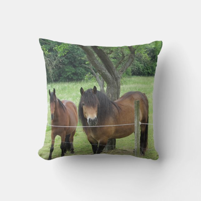 Almofada Cavalos Bonitos (Frente)