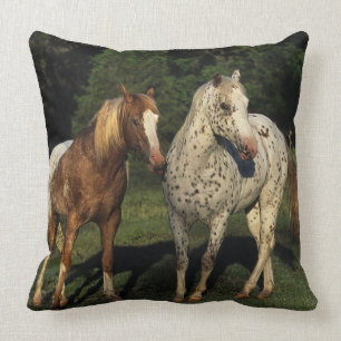 Almofada Cavalos do Appaloosa