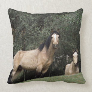 Almofada Cavalos selvagens 6 do mustang