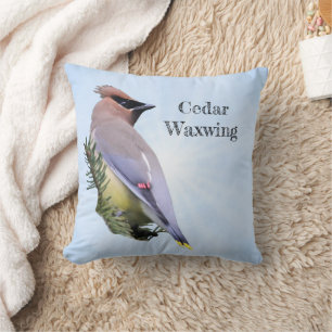 Almofada Cedar Waxwing