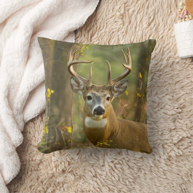 Almofada Cervo de Cauda Branca Macho | Whitefish, Montana (Cobertor)
