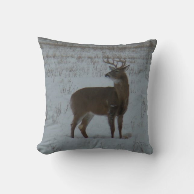 Almofada Cervo-macho de cauda branca D11 na neve (Frente)
