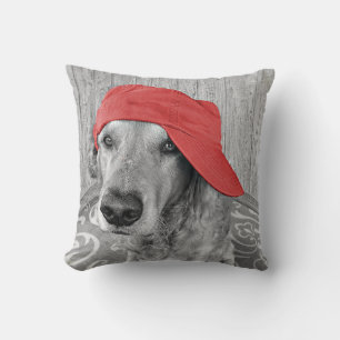 Almofada chapéu vermelho no golden retriever