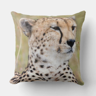 Almofada Cheetah