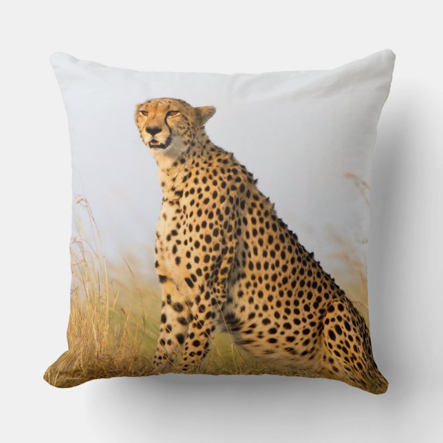 Almofada Cheetah (Frente)