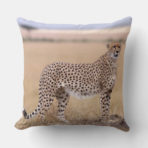 Almofada Cheetah