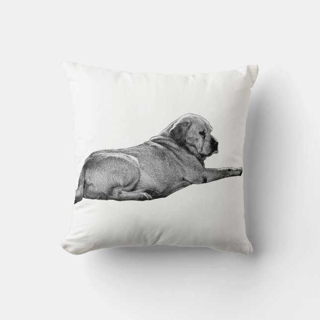 Almofada Chegando à Presença (Frente)