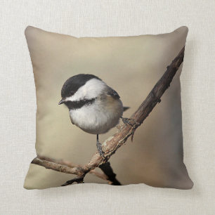 Almofada chickadee Preto-tampado