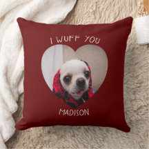 Chihuahua fofo wuff você ama foto coração de valen