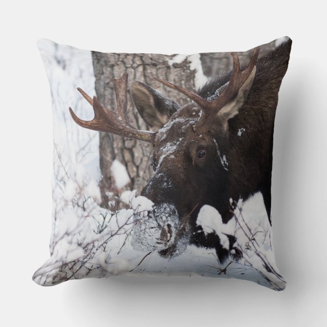 Almofada Chilly Moose (Frente)