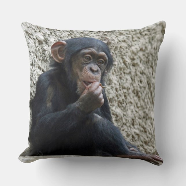 Almofada Chimpanzé 013 (Frente)