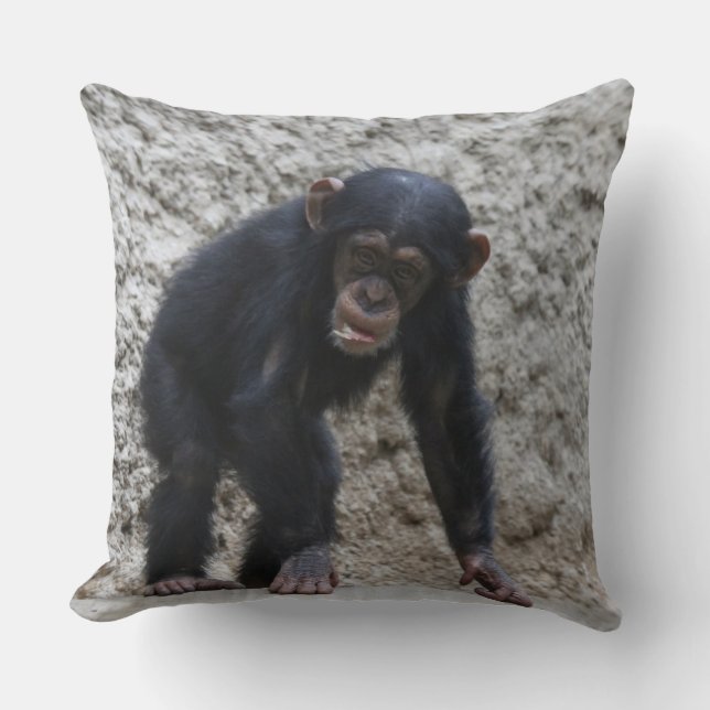 Almofada Chimpanzé 031 (Frente)