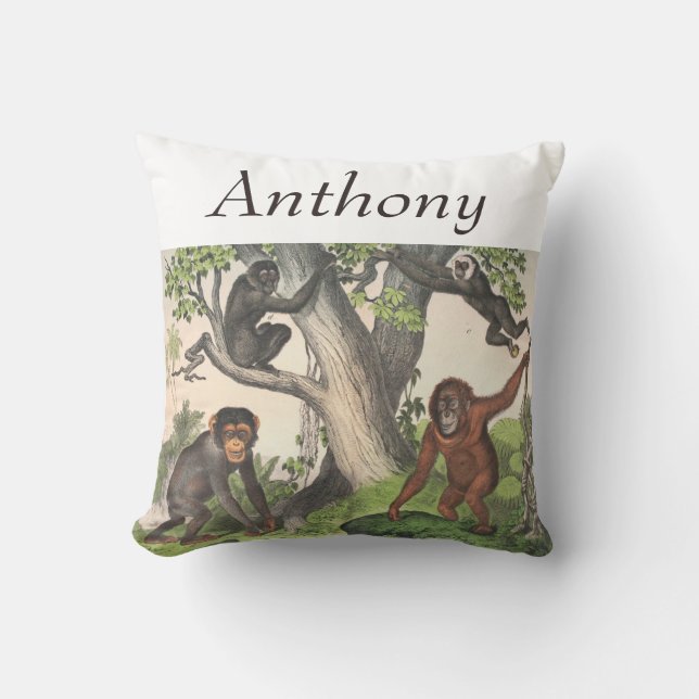 Almofada Chimpanzé Mackey Vintage impressão (Frente)