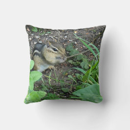 Almofada Chipmunk Photo In The Summer Garden Eating Seeds