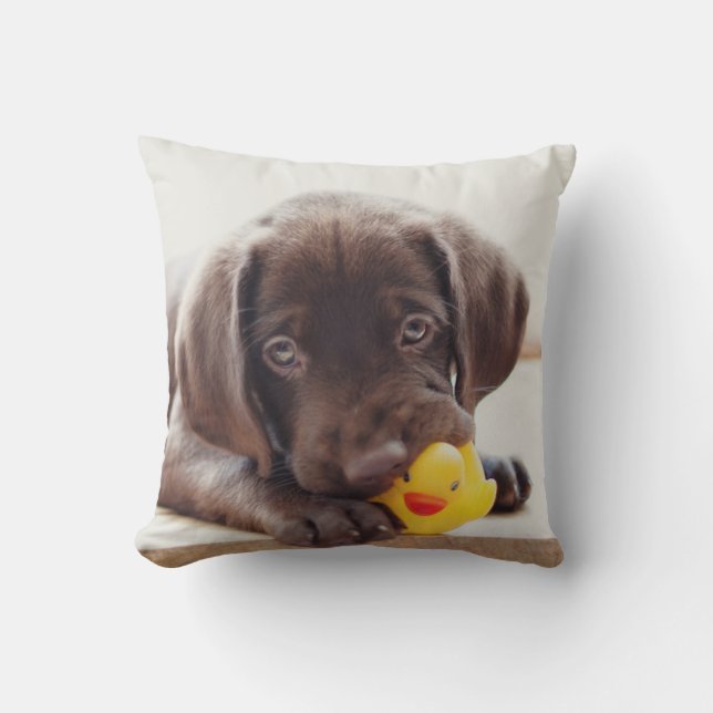 Almofada Chocolate Labrador Com Pato De Brinquedo (Frente)