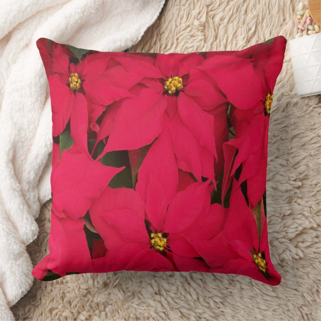 Almofada Christmas Poinsettia (Cobertor)