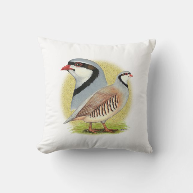 Almofada Chukar Partridge Combo (Frente)