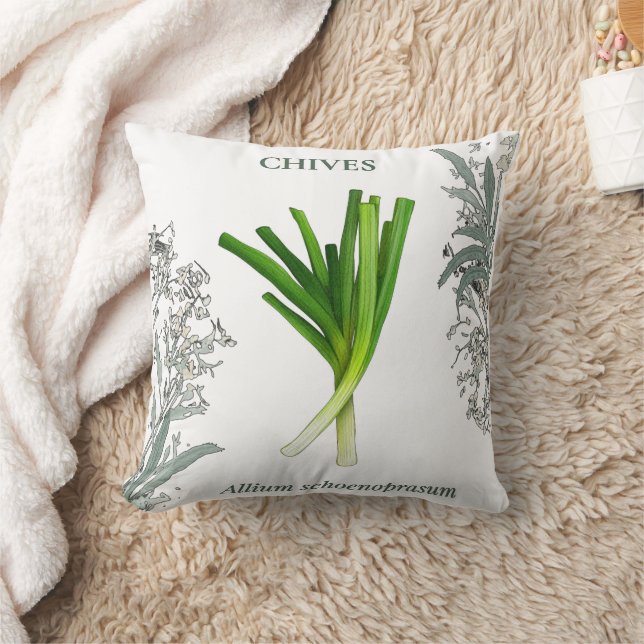 Almofada Ciboulette — Allium schoenoprasum (Cobertor)