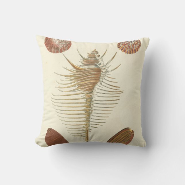 Almofada Cinco de uma espécie de concha (Frente)