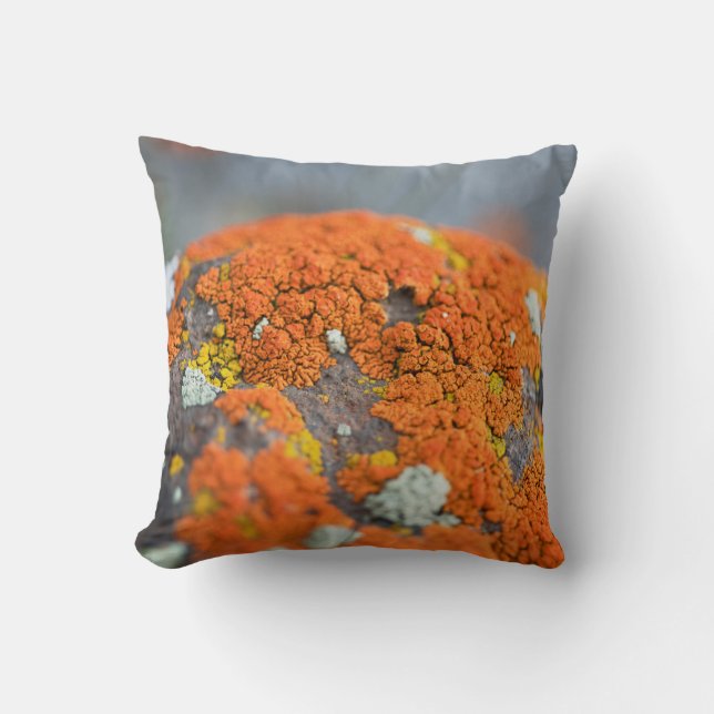 Almofada Cinza de musgo de laranja (Frente)