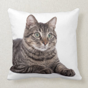 Almofada Cinza Tabby Cat
