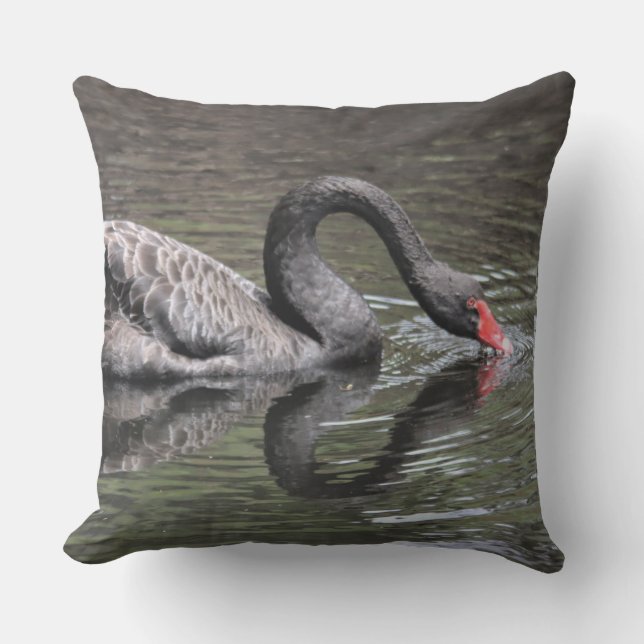 Almofada Cisne Negro (Frente)