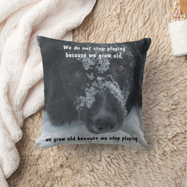 Almofada Citação Inspiradora Envelhecendo Border Collie  (Cobertor)