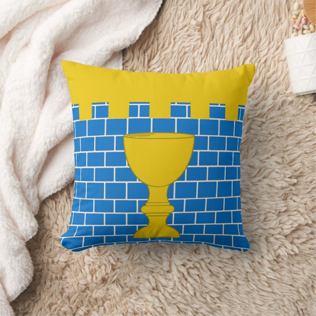 Almofada Citadel do crachá da População do Sul Pass (Cobertor)