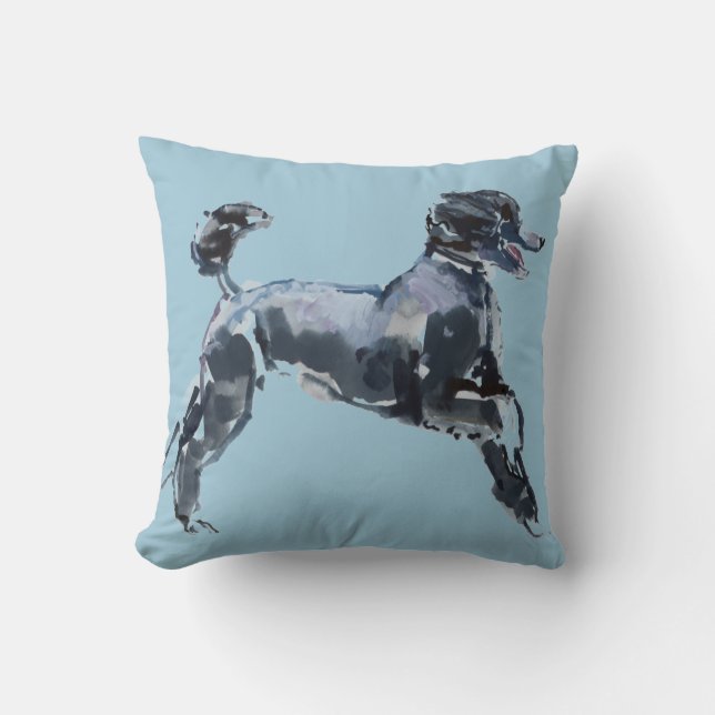 Almofada Classe completa 2013 (Frente)