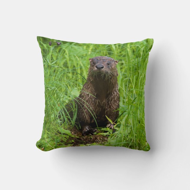 Almofada Clever River Otter (Frente)
