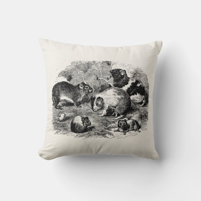 Almofada Cobaias velhas retros da cobaia dos 1800s do (Frente)