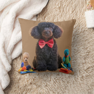 Almofada Cobrir fofinho Travesseiro decorativo de Plush de
